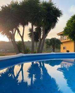 a swimming pool with palm trees and a house at Villa Fort Tenerife in Tacoronte