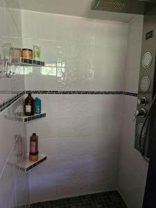 a bathroom with a shower with white tiled walls at Mon havre de paix in Blésignac +24 photos