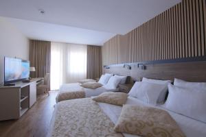 TV a/nebo společenská místnost v ubytování Hotel Olimp