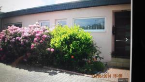 a bunch of flowers in front of a house at Mein Wunschhaus in Rodgau