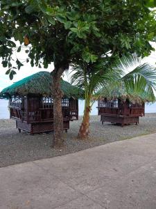 two huts with a tree on the beach at Casa Anaya Vacation Beachfront Home in Toledo City
