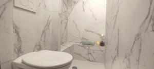 a bathroom with a toilet and a marble wall at PARIS AUTHENTIC HOUSE Métro 14 Station Hôpital Bicêtre, RER B Gentilly in Paris +123 photos