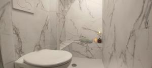 a bathroom with a toilet and a marble wall at PARIS AUTHENTIC HOUSE open space studio Métro 14 Hôpital Bicêtre, RER B Gentilly in Gentilly +34 photos