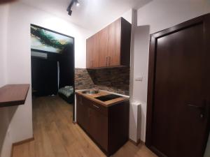 a small kitchen with a sink and wooden cabinets at Stars lux room in Belgrade