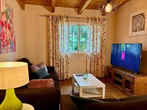 sala de estar con TV y sofá en Casa Vista Teide con Jardín, Barbacoa y Fuente Zen, en Icod de los Vinos