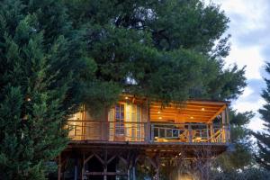 ein Baumhaus mitten im Wald in der Unterkunft Sani Tree House in Sani Beach