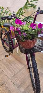 Jízda na kole v ubytování Pousada Das Flores nebo okolí