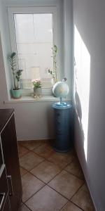 a room with a window with potted plants on a dresser at Ночлеги - HOSTEL in Tarnowo Podgórne