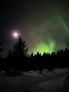 Imagen de la galería de Langahlíð Guesthouse - Privatete Forest -, en Hella