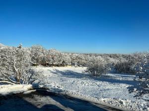 a snow covered field with trees and a road at Urlaubshaus-Braunlage Wohnung 1 in Braunlage