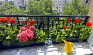 een balkon met rode bloemen en een gele pot bij COQUETTE 2-Dormitoare in Baia Mare
