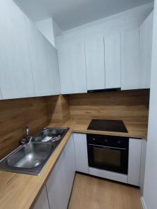 Kuchyň nebo kuchyňský kout v ubytování Gex apartments