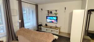 a living room with a couch and a television at Ozas Park Apartments in Vilnius