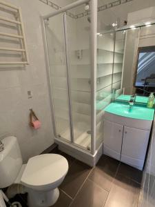 a bathroom with a shower and a toilet and a sink at Appartement centre de Cassis in Cassis +6 photos