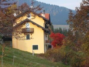 Příroda nedaleko apartmánu