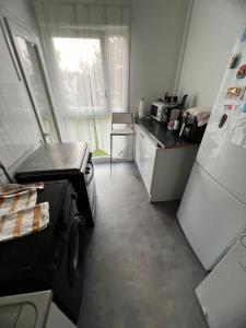 Una pequeña cocina con nevera y fregadero. en Spacieux Appartement Persan, en Persan 33 fotos más