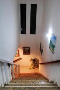 a staircase in a building with a plant at Suíte aconchegante a 150 m da Praia do Forte in Cabo Frio +1 photo