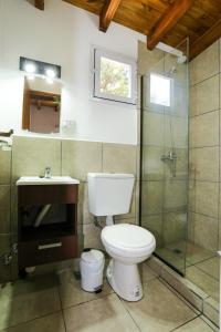 a bathroom with a toilet and a shower and a sink at Refugio del Hornero Norte in San Carlos de Bariloche