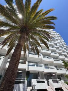 eine Palme vor einem Gebäude in der Unterkunft Lovely Estudio Las Americas, sea view in Playa Fañabe
