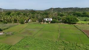 an aerial view of a field with a house in the background at Ridge Boundary View in Dambulla