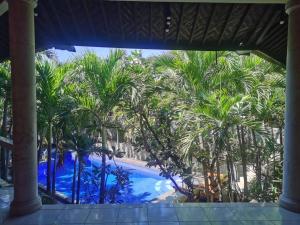 a view of a pool from a resort with palm trees at Cornerstone dive center in Tulamben