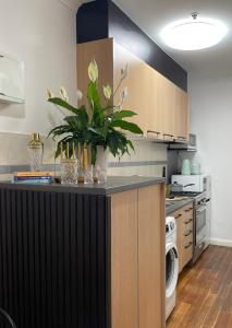 Η κουζίνα ή μικρή κουζίνα στο Compton Street Apartment