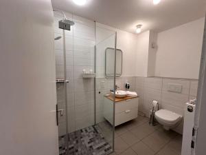 a bathroom with a glass shower and a toilet at Ferienhaus chez nous in Merzig +28 photos