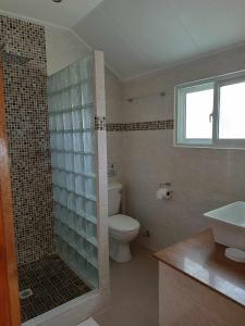 a bathroom with a shower and a toilet and a sink at Lucy's guesthouse in La Digue