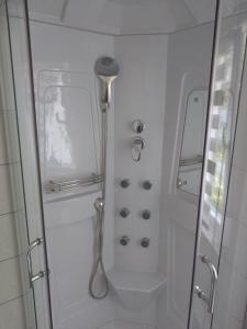 a shower in a bathroom with a glass door at Ferienhäuser am Mühlenberg in Alt Töplitz +14 photos