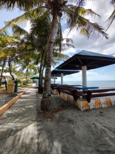 a beach with palm trees and a blue umbrella at The Waterfront Beach Resort in Morong
