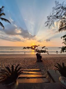 a sunset on the beach with a tree on the beach at Nang Thong Beach Resort in Khao Lak +33 photos