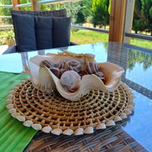 a shell sitting on top of a table at Villa Nikos in Nea Plagia