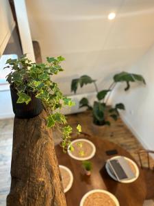 アラスにあるLe Grenier Chic, T2 Centre-Villeの木製テーブル(鉢植えの植物付)
