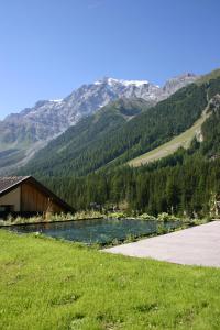 a river in a field with mountains in the background at Rumwaldhof - Wohnung Enzian in Solda