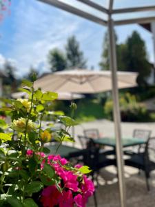 Zahrada ubytování Chalet Hotel Diamant