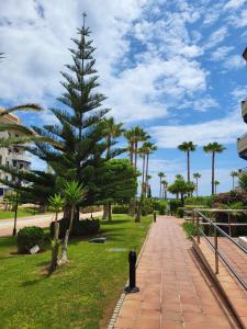 Un árbol de Navidad en un parque con palmeras. en Beachfront 3 Bed Apt San Luis De Sabinillas, en San Luis de Sabinillas