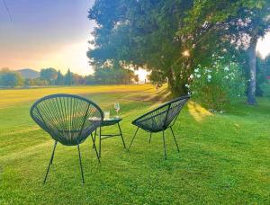 two chairs sitting in the grass with a glass at Villa-Provence-Pont-Royal in Mallemort