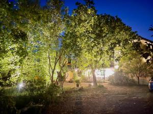 Photo de la galerie de l'établissement Star Wish B&B, à Dongshan