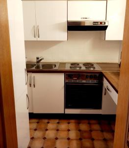 Mani‘s Appartements的厨房或小厨房