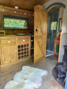 a room with a wooden door and a kitchen with a rug at Dingle Glenn secluded woodland cabin in Dean