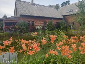 Zahrada ubytování Apartmán u jezírka