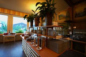 a room with a counter with jars and plants at Edelweiss Lodge in Wilderswil