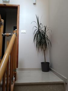 Zdjęcie z galerii obiektu Apatamento as xenetas w mieście Marín