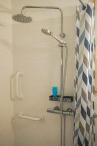 eine Dusche im Bad mit einem Duschvorhang in der Unterkunft Chez Francis & Valérie in Villegailhenc