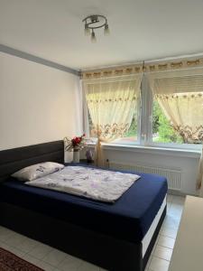 a bedroom with a bed and two windows at Ferienwohnung Bingen in Bingen am Rhein