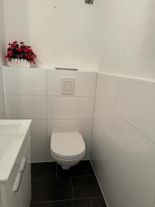a bathroom with a toilet and a sink and red flowers at Ferienwohnung Bingen in Bingen am Rhein +9 photos