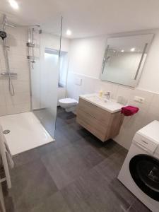 a bathroom with a shower and a sink and a toilet at Ferienwohnung in Mittelsaida in Großhartmannsdorf +10 photos