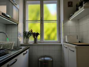 Kuchyňa alebo kuchynka v ubytovaní Konzul -Top apartment, strict center, parking