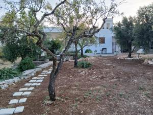 Zahrada ubytování Natura e relax La campagna di Nonna Maria