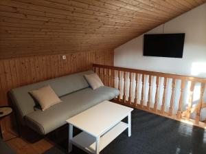 a couch in a room with a tv and a table at Burgberg Schöllnstein in Iggensbach